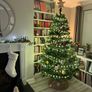 Woodies 7ft christmas tree Image 4
