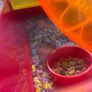 hamster cage Image 2