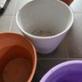 6 plant pots 3 ceramic and 3 plastic Image 5