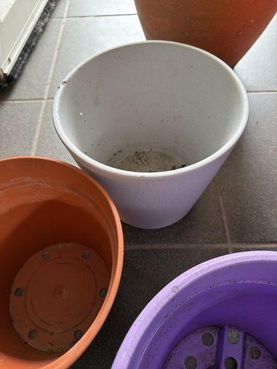 6 plant pots 3 ceramic and 3 plastic