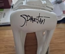 Headguard