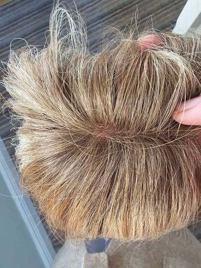 Ellen Wille "Pure Power" Human Hair Topper