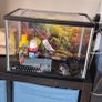 Fishtank 25l like NEW ! Image 3