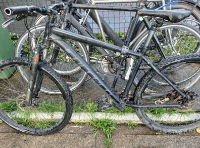 carrerra bike
