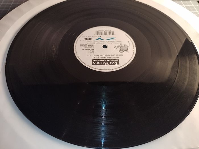 Tom Wilson - Techno Cat (ORIGNAL + Perplexer REMIX!) - ZYX Music Records - GERMAN Pressing! Incl. ORIGINAL Dance Like Yer Dad Mix TOO!