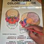 Craniosacral Therapy Study Books Image 4