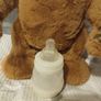 Cubby the curious bear Image 4