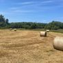 Round bales of Hay Image 6