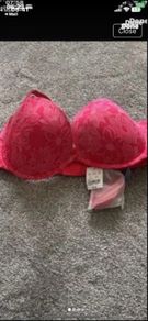 bra Bnwt aerie brand American  Eagle  36c