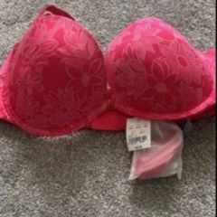 bra Bnwt aerie brand American  Eagle  36c