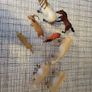 schleich animals horse cow goat wolf Image 5