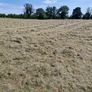Small Bales of Hay Image 7