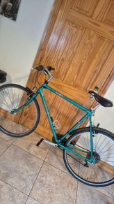 raleigh adult road bike 60cm frane