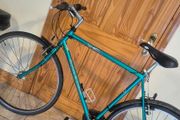 raleigh adult road bike 60cm frane