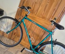 raleigh adult road bike 60cm frane