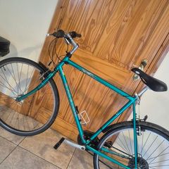 raleigh adult road bike 60cm frane