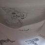 Ladies Butterfly T-Shirt Image 4