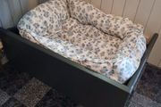 Dog raised bed