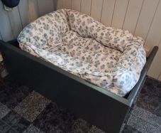 Dog raised bed