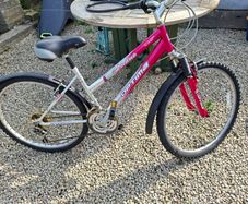 ladies mountain bike