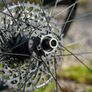 Bontrager Line Comp 30 Wheelset 29' Image 2