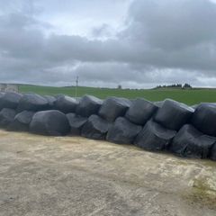 Silage for sale