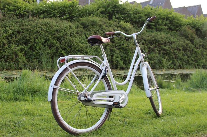 Dutch Style 3 Speed City Bike Hub Gears, Lights & Rear Pedal Brake