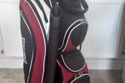 Spalding golf bag