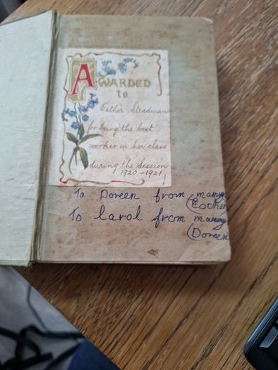 Sir Aylmers Heir by E Everett Green Vintage Hard Back