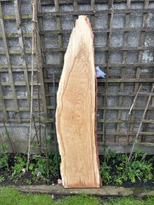 Slab of Oak