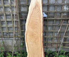 Slab of Oak