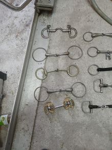 Horse bits
