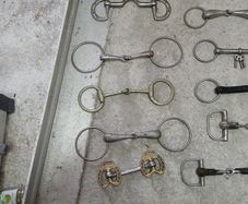 Horse bits