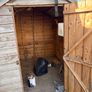 Free to take - Shed Image 2