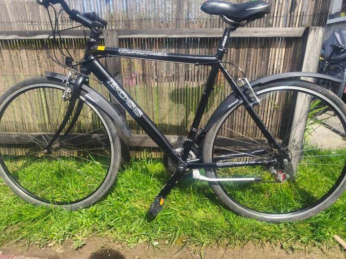 Euro Giant hybrid bike