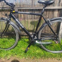 Euro Giant hybrid bike