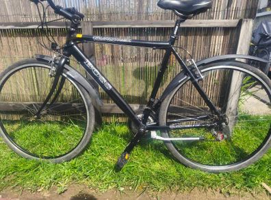 Euro Giant hybrid bike