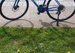 Trek FX2 Disc Hybrid Bike