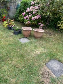 flower Pots. Large