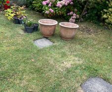 flower Pots. Large