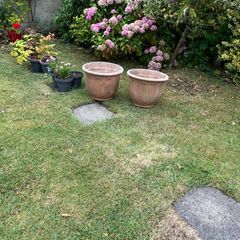 flower Pots. Large
