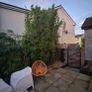 Chopped Bamboo Image 3