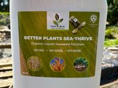 10ltrs Organic Liquid Seaweed
