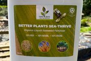 10ltrs Organic Liquid Seaweed