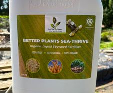 10ltrs Organic Liquid Seaweed