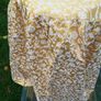 Table Skirt Image 5