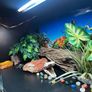 reptile vivarium Image 9