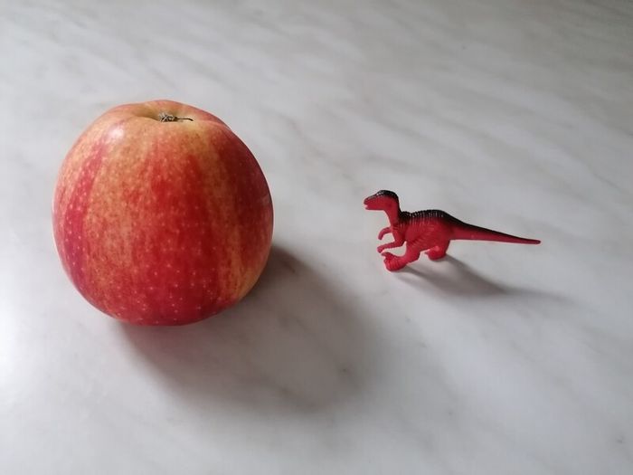 20 Dinosaur Toys