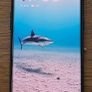 One Plus 11 256 GB Image 2