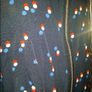Beautiful Navy midi dress from Dunnes size UK18 EUR46 Postage included Image 3